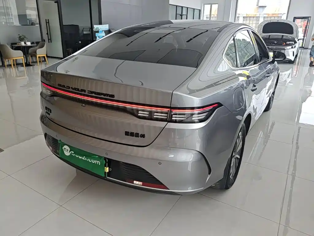 BYD Destroyer 05 2025 2024 Glory Edition DM-i 55KM Luxury
