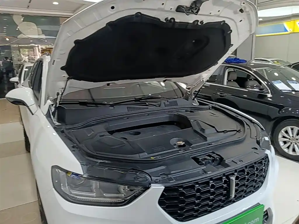 WEY VV5 2018 2017 2.0T Flagship Model