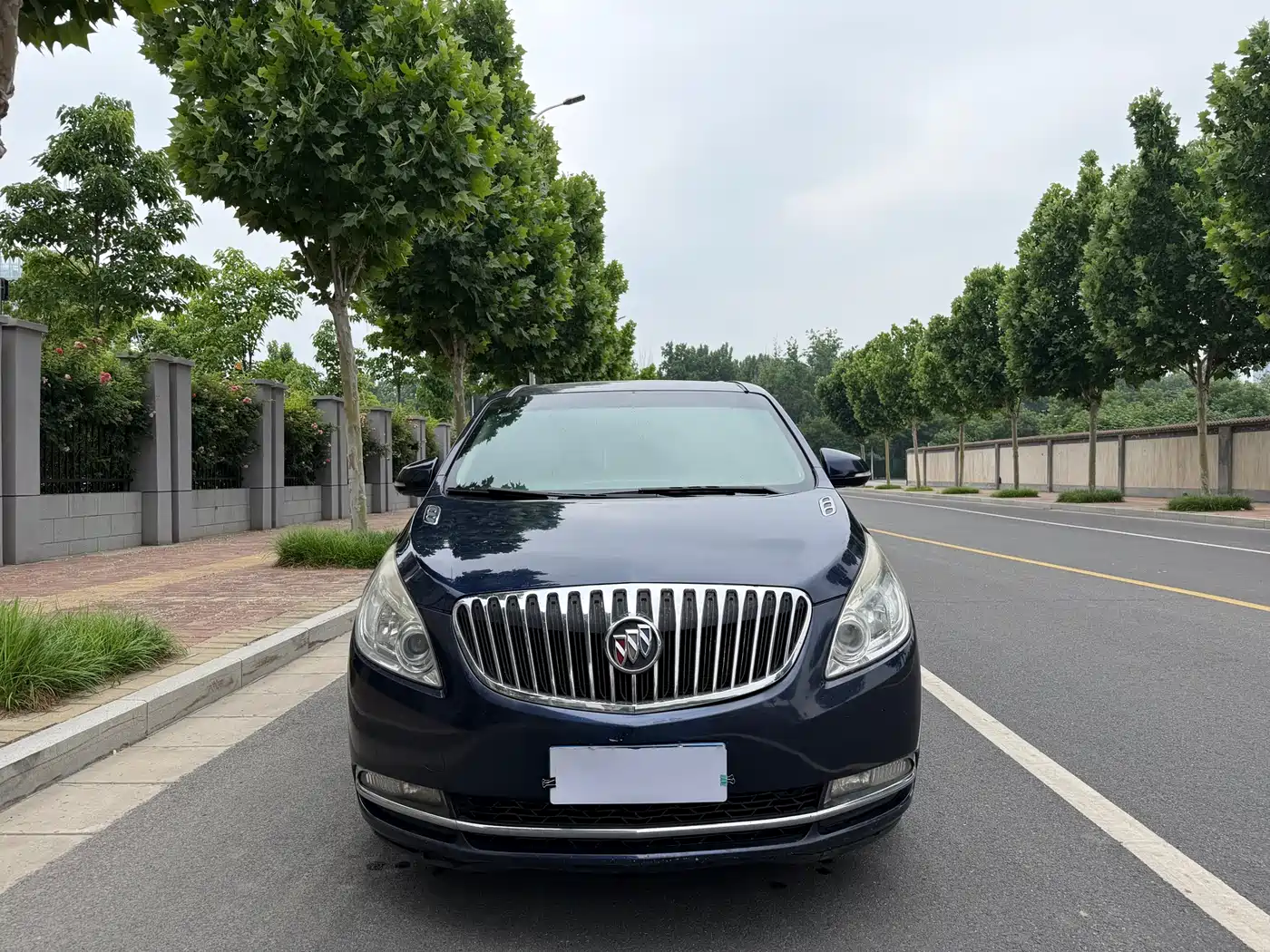 Buick GL8 2013 2.4L CT Luxury Business Comfort Edition фото 2