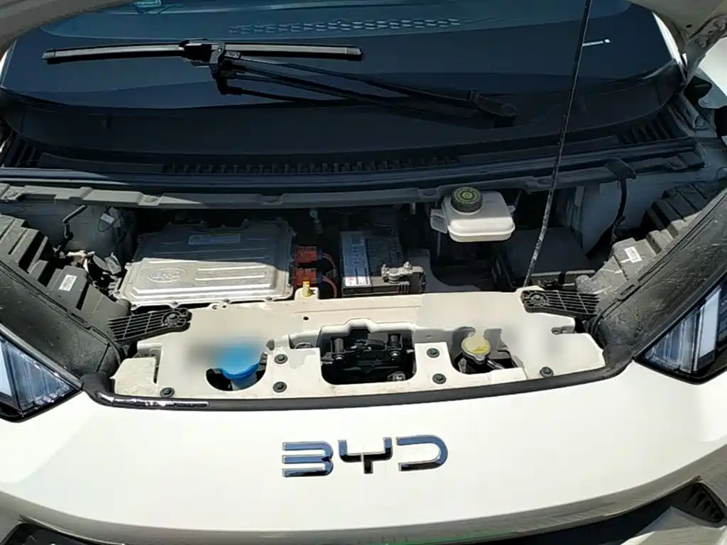 BYD Seagull 2025 305km Vitality фото 20