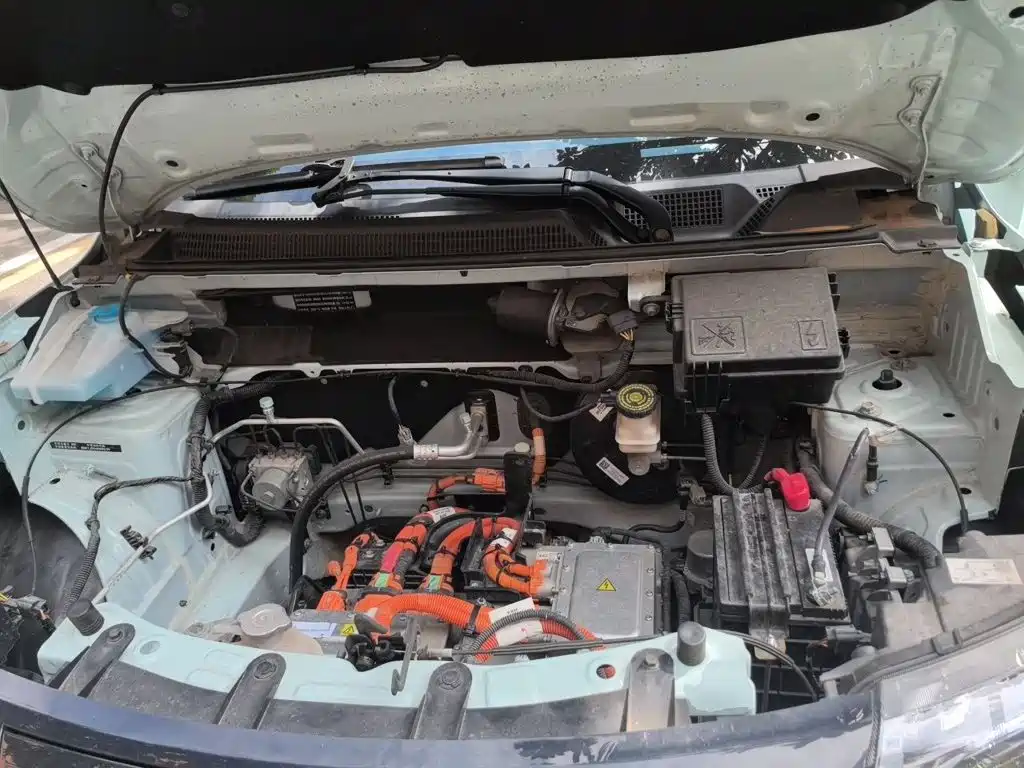 Dongfeng Yipai Nano BOX 2023 2022 Wind Chaser Edition 331KM Standard