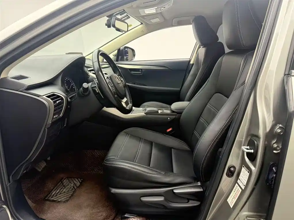 Lexus NX 2018 Model 200 FWD Fengxing Edition China V фото 11