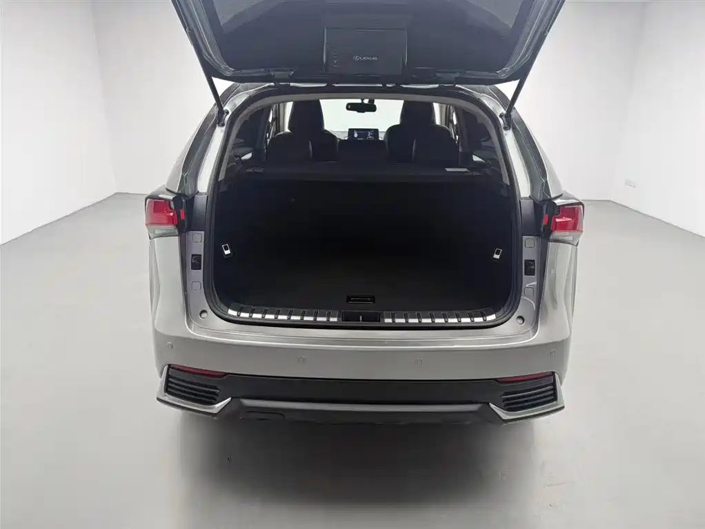 Lexus NX 2018 Model 200 FWD Fengxing Edition China V фото 16