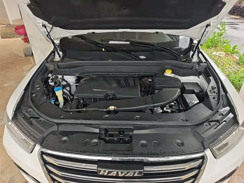 Haval H6 2019 1.5GDIT Automatic Champion Edition China V фото 20