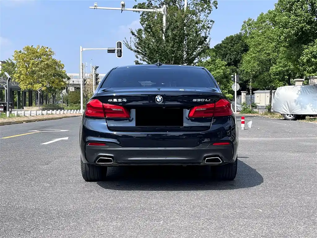 BMW 5 Series 2019 530Li Premium M Sport Package фото 14