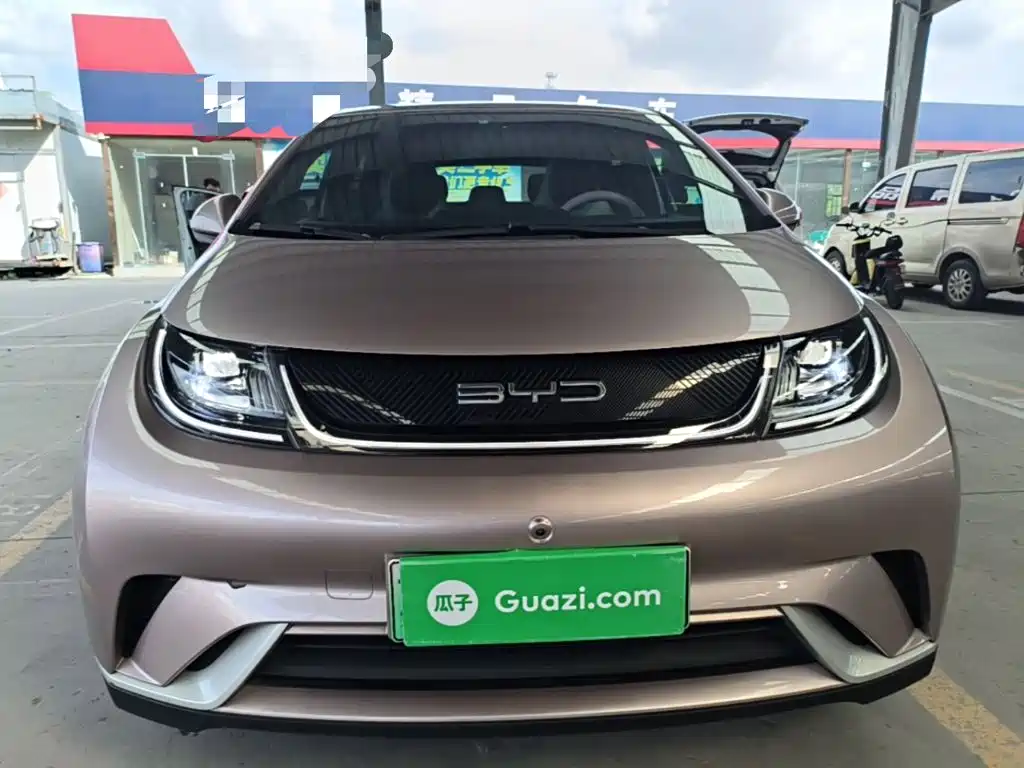 Фото 3 - BYD Dolphin