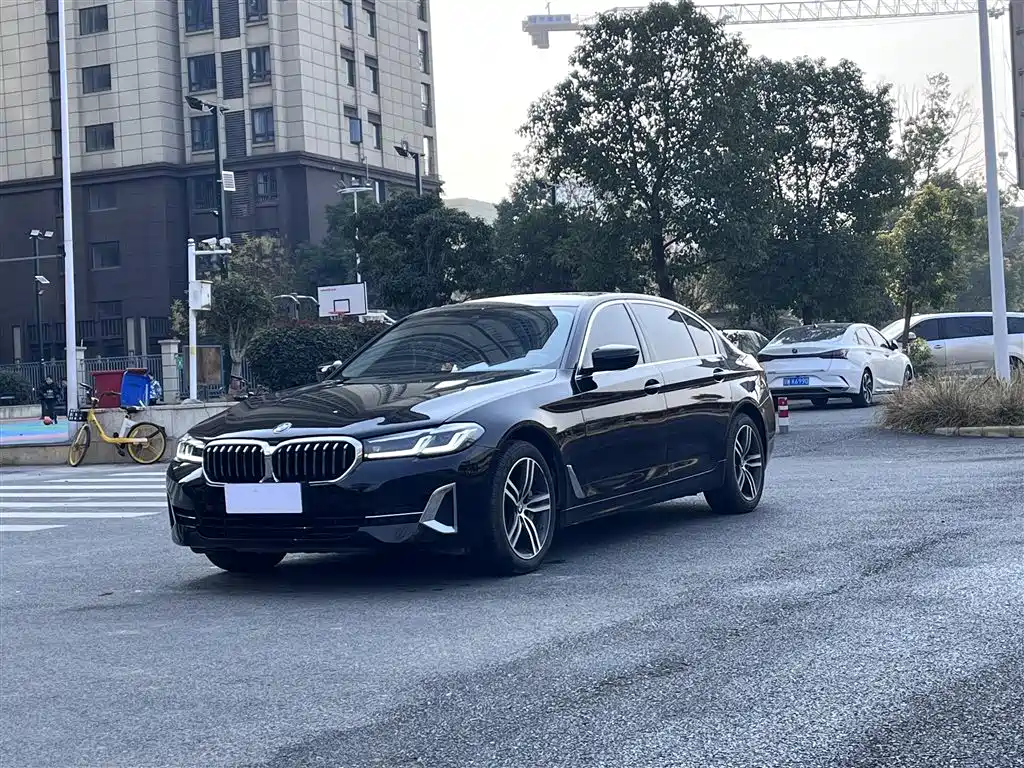 BMW 5 Series 2022 530Li Leading Luxury Package