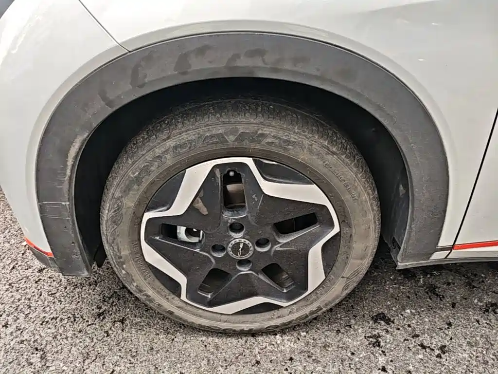BYD Dolphin 2021 2021 Model 405km Fashion Edition
