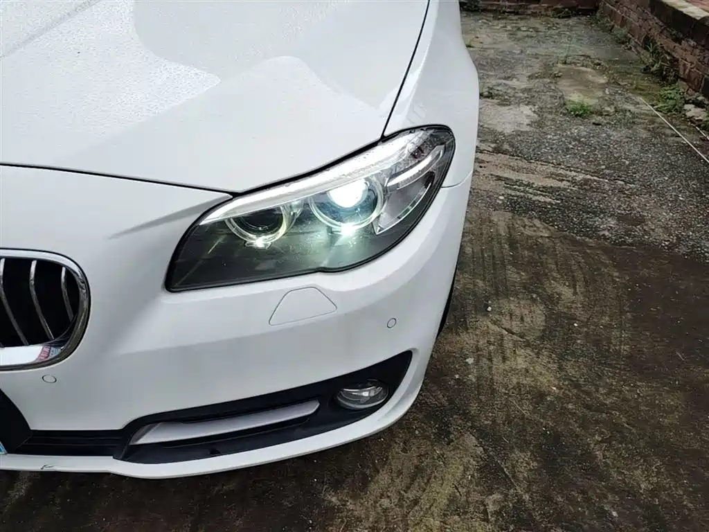 BMW 5 Series 2014 525Li Leading фото 24