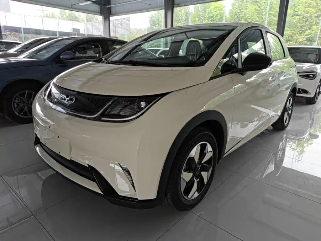 BYD Dolphin 2026 2025 420km Freedom Edition