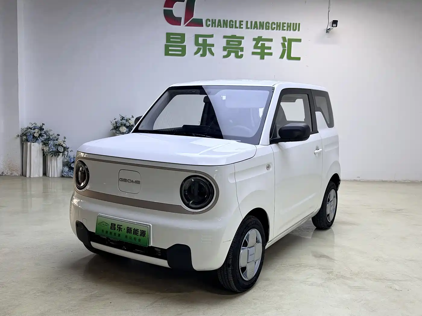 GEELY GALAXY PANDA