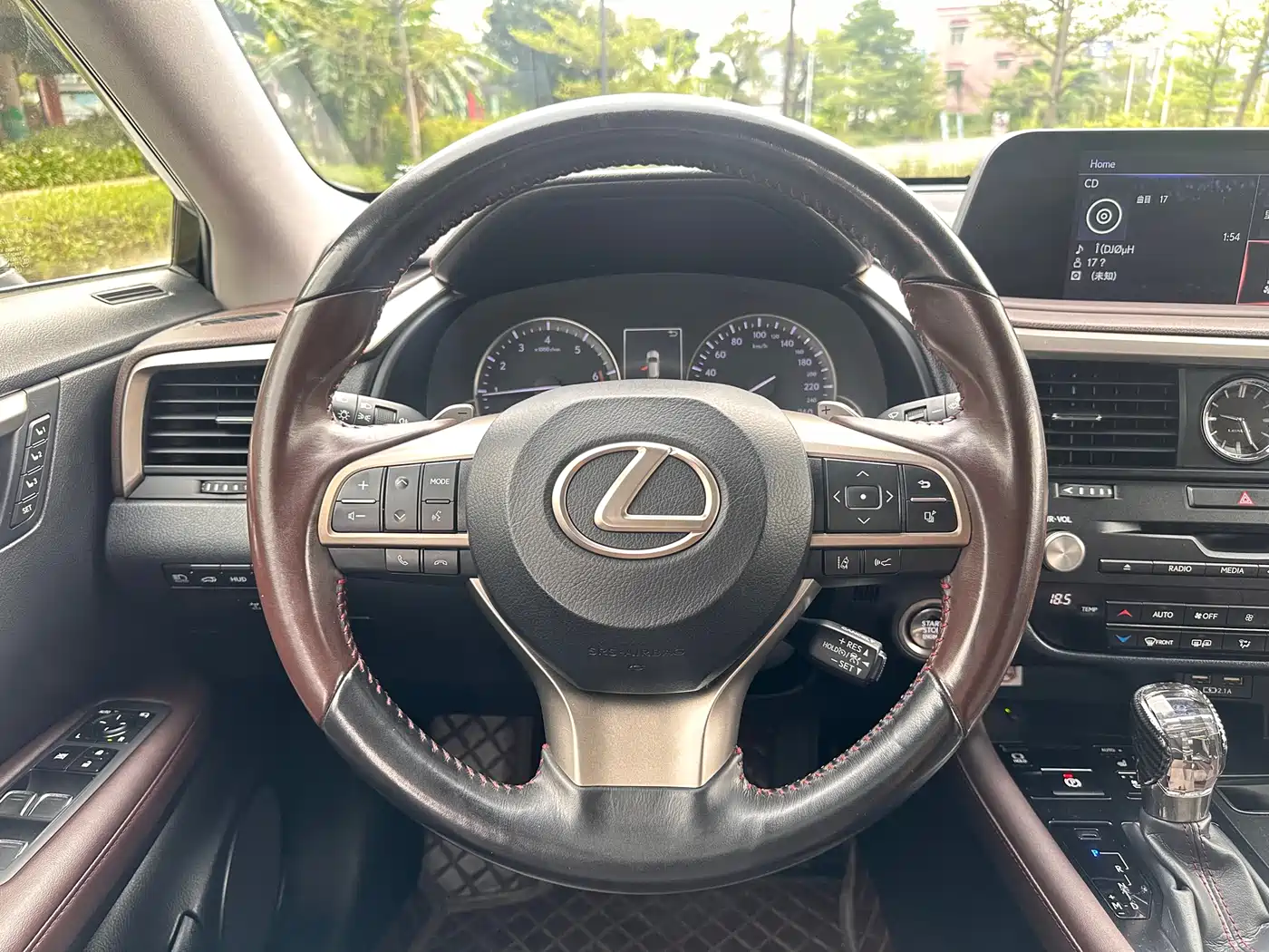 LEXUS RX