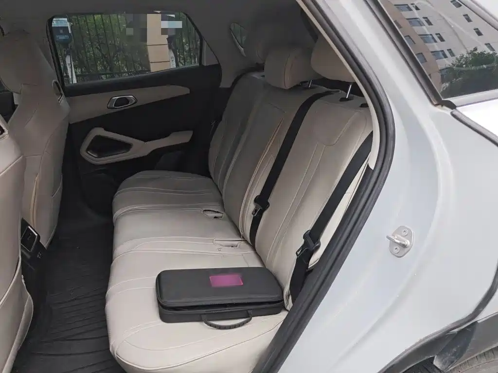 BYD Yuan UP 2025 2025 Smart Drive Edition 401KM Vitality Version