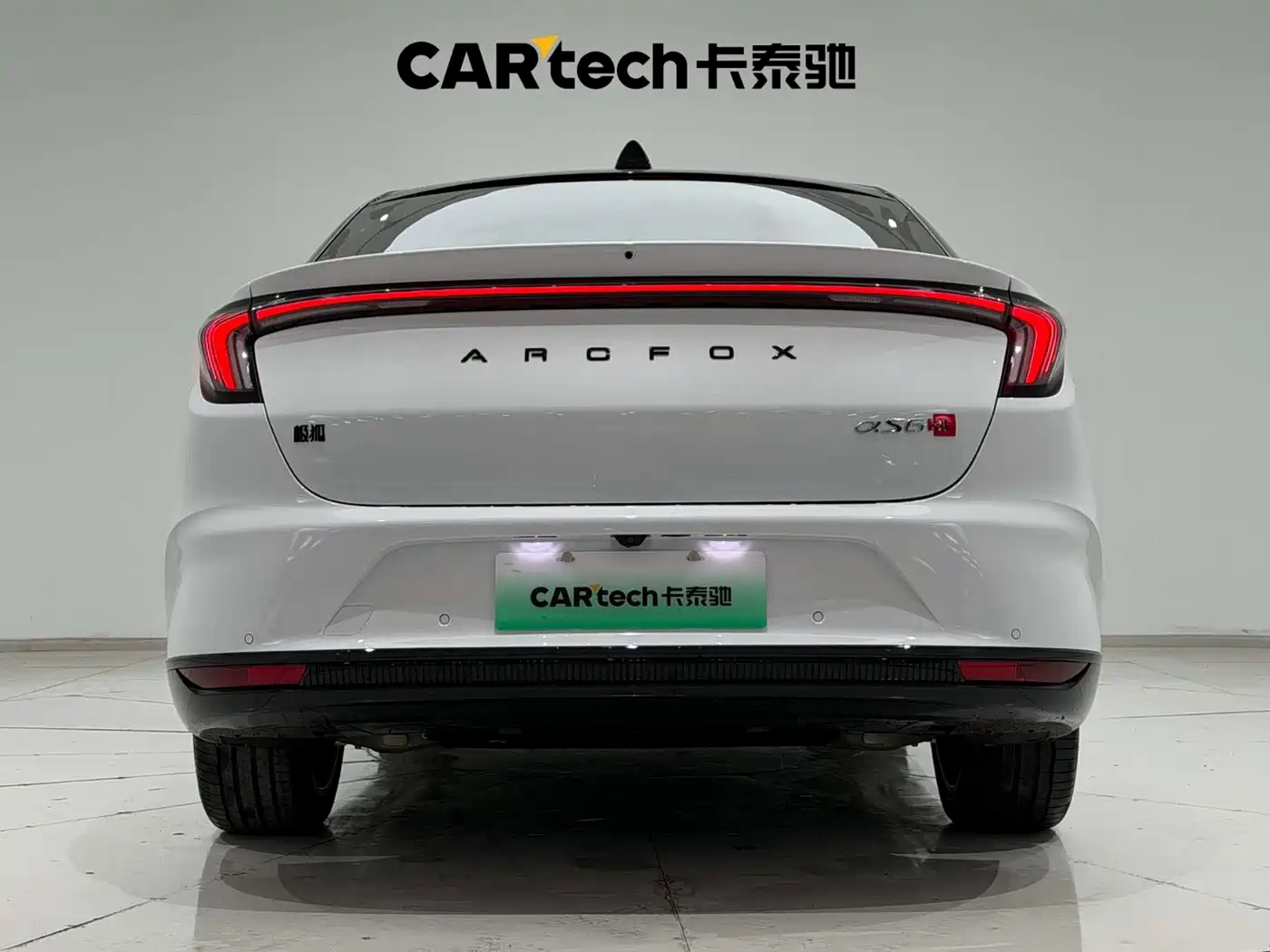 ARCFOX EXTREME FOX POLAR FOX ALPHA S6