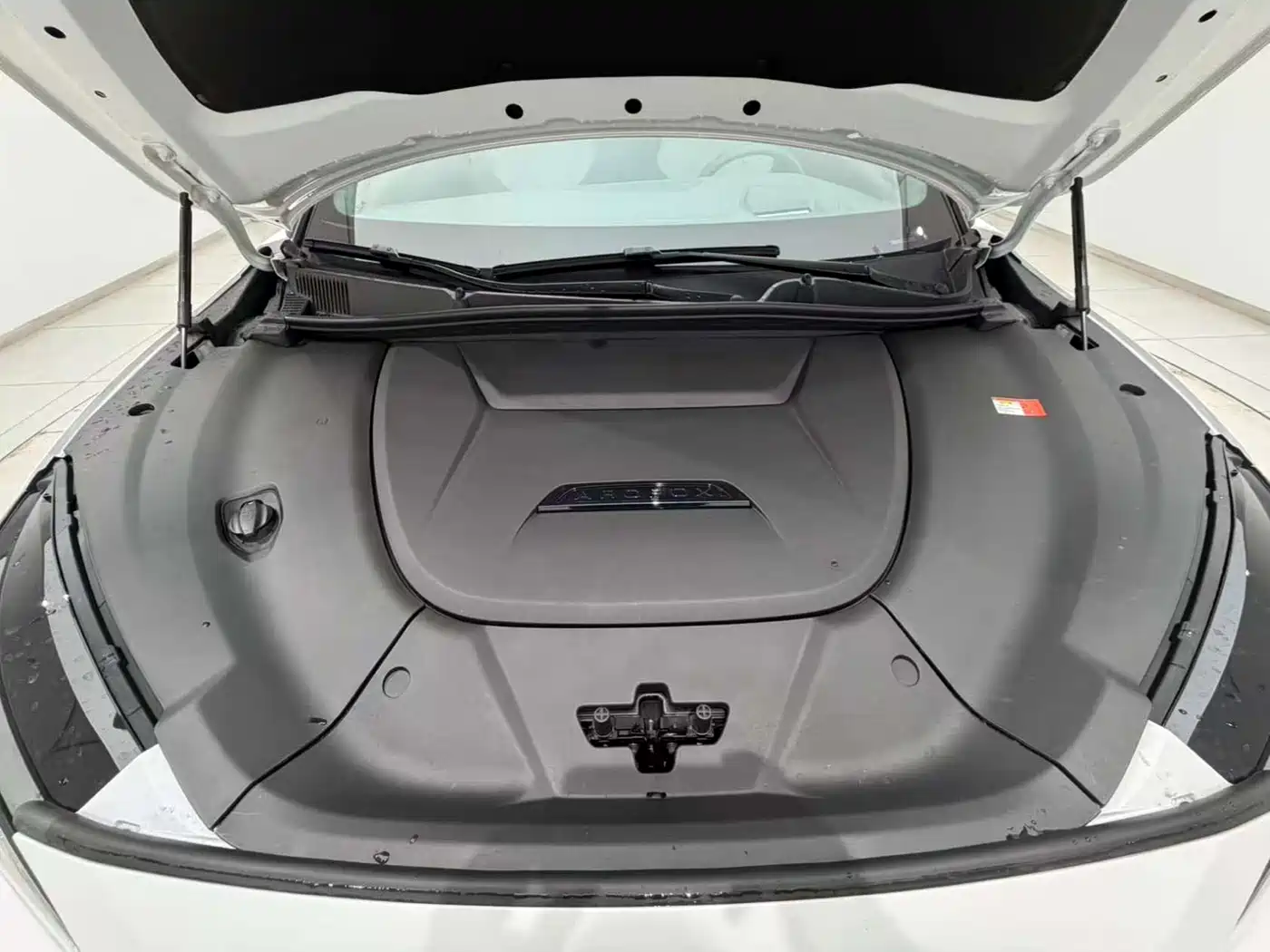 ARCFOX EXTREME FOX POLAR FOX ALPHA S6