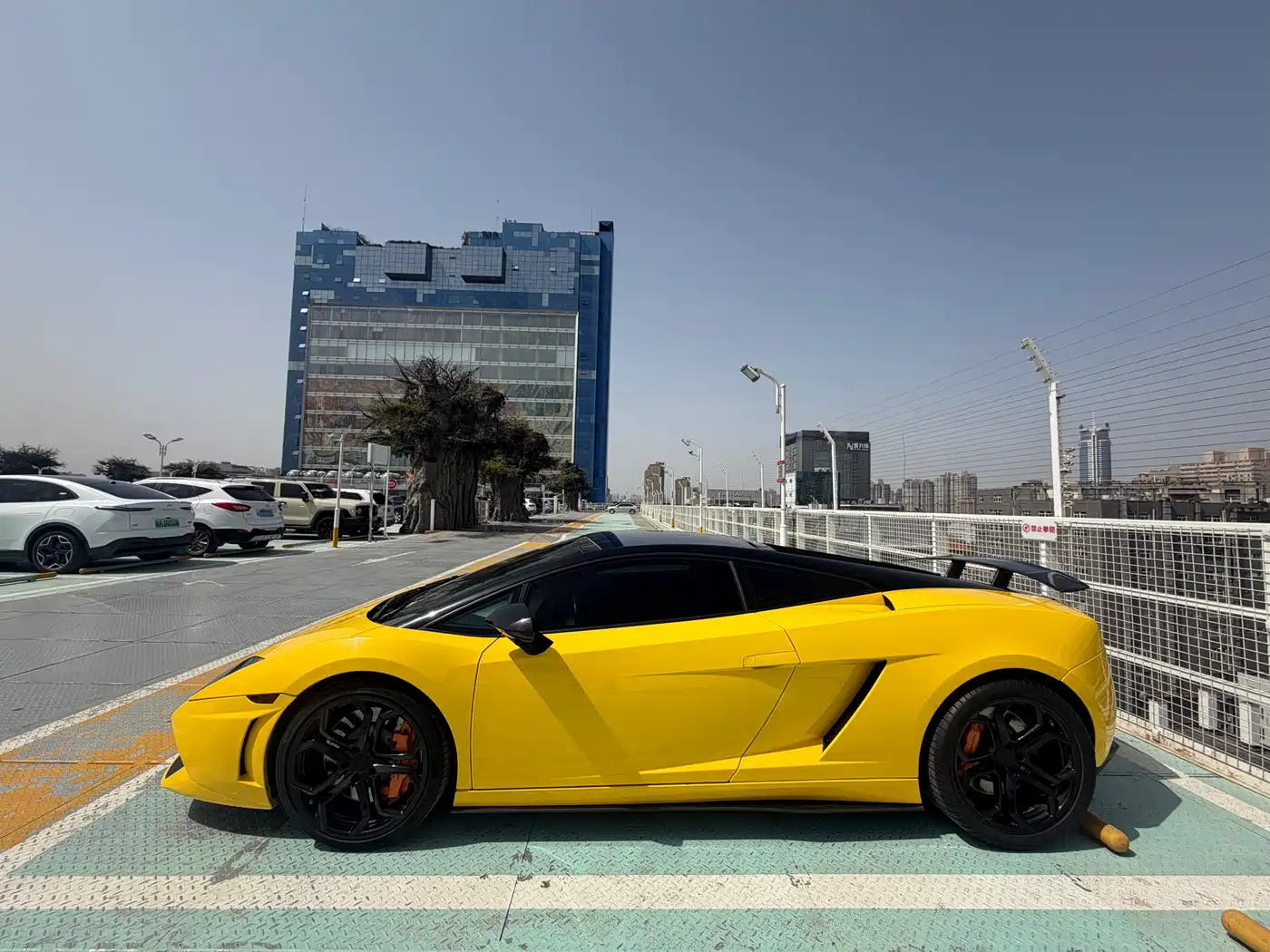 Lamborghini Gallardo 2011 Lamborghini Gallardo LP 560-4 Bicolore фото 3