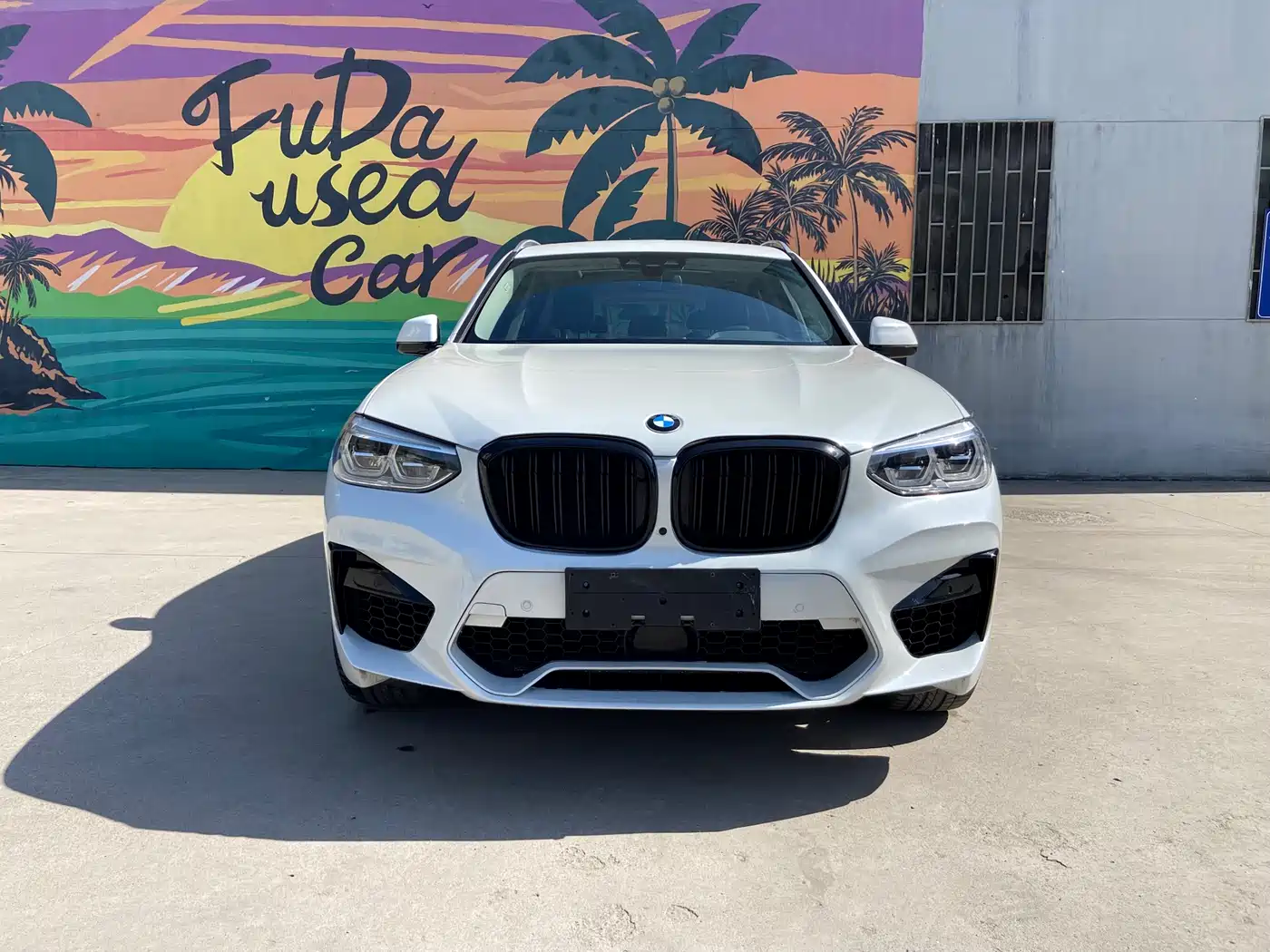 BMW X3 2018 xDrive28i M Sport Package China V фото 8