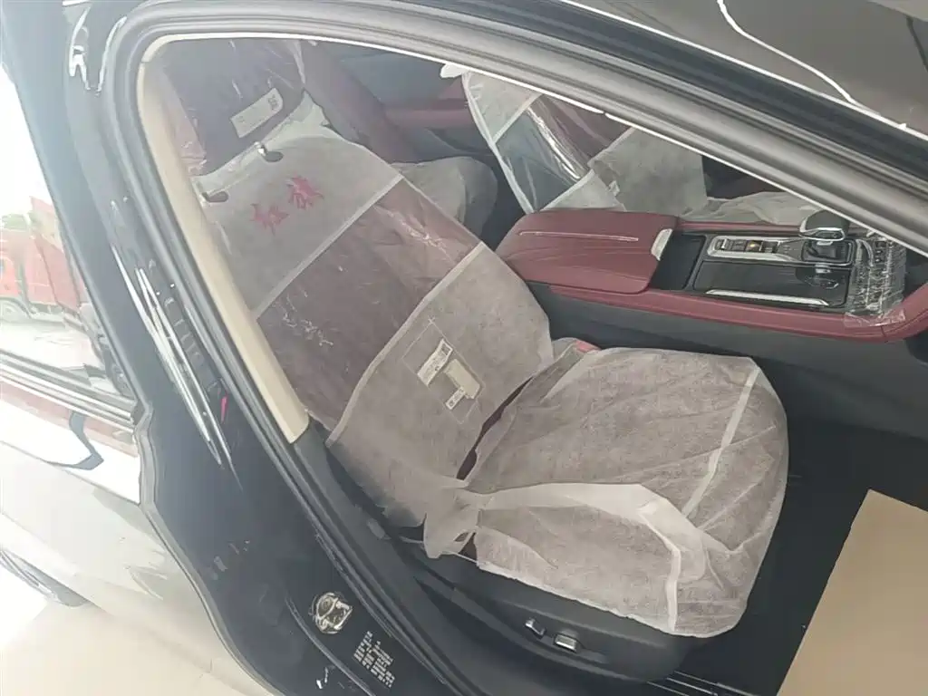 Hongqi H5 2025 2.0T Automatic Mystic Shadow 2 Million Edition фото 25