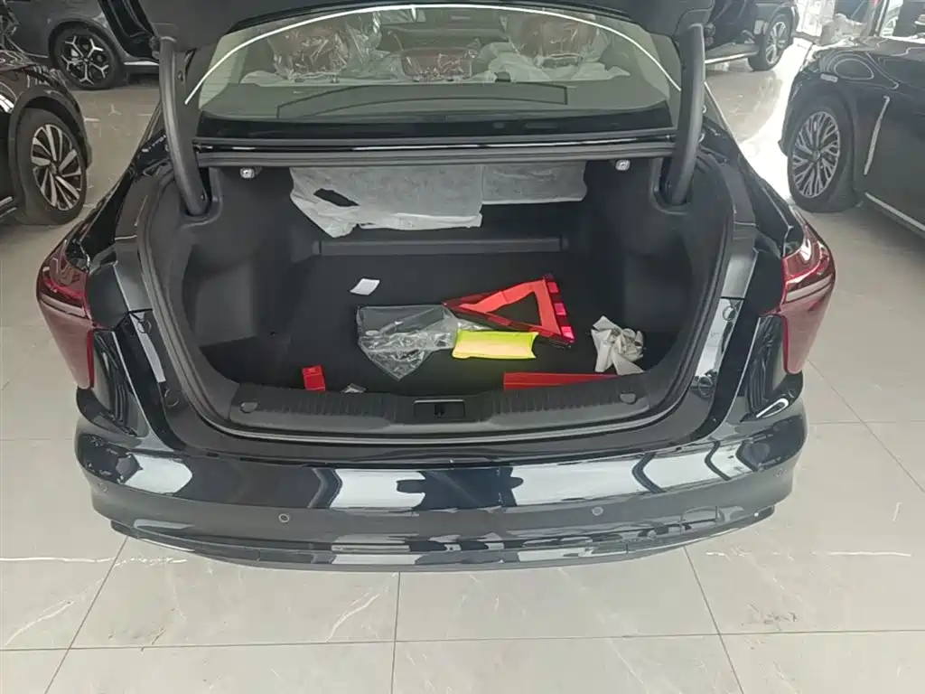 Hongqi H5 2025 2.0T Automatic Mystic Shadow 2 Million Edition фото 19