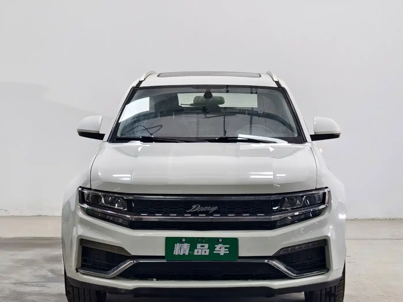 2019 Zotye X7