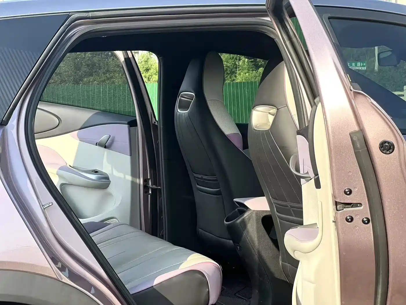 BYD Dolphin 2023 401km Knight Edition фото 11