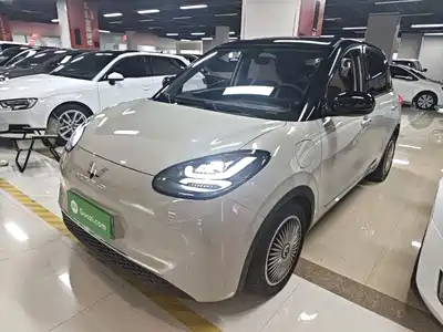 Wuling Bingo