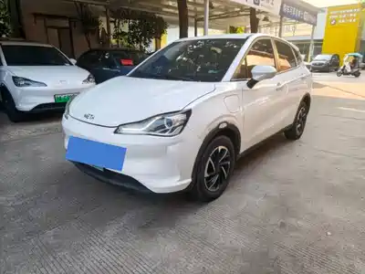 Neta V