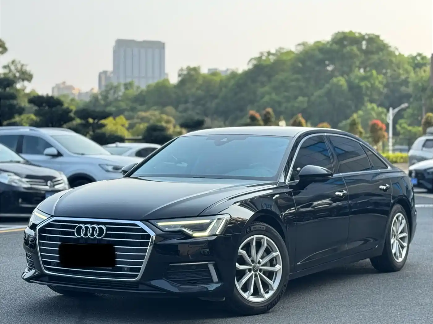 Audi A6L 2019 40 TFSI Luxury Elegance