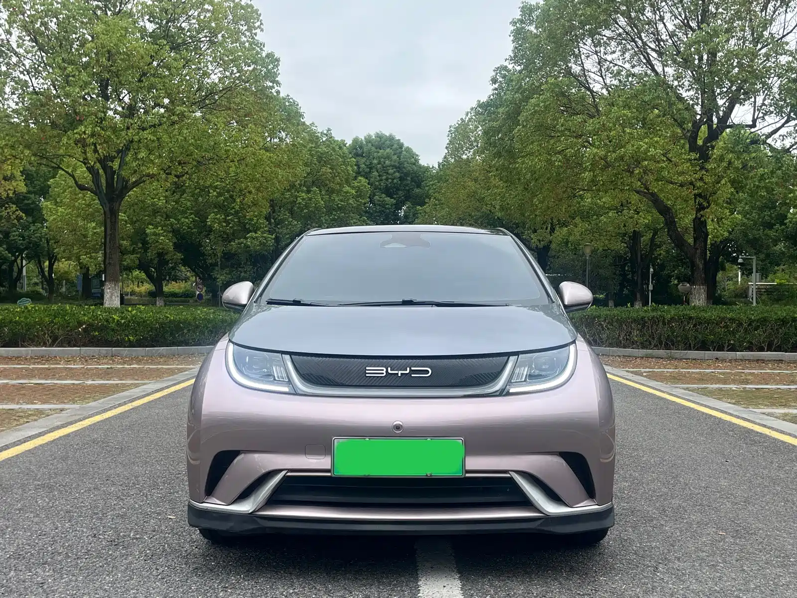 Фото 2 - BYD Dolphin