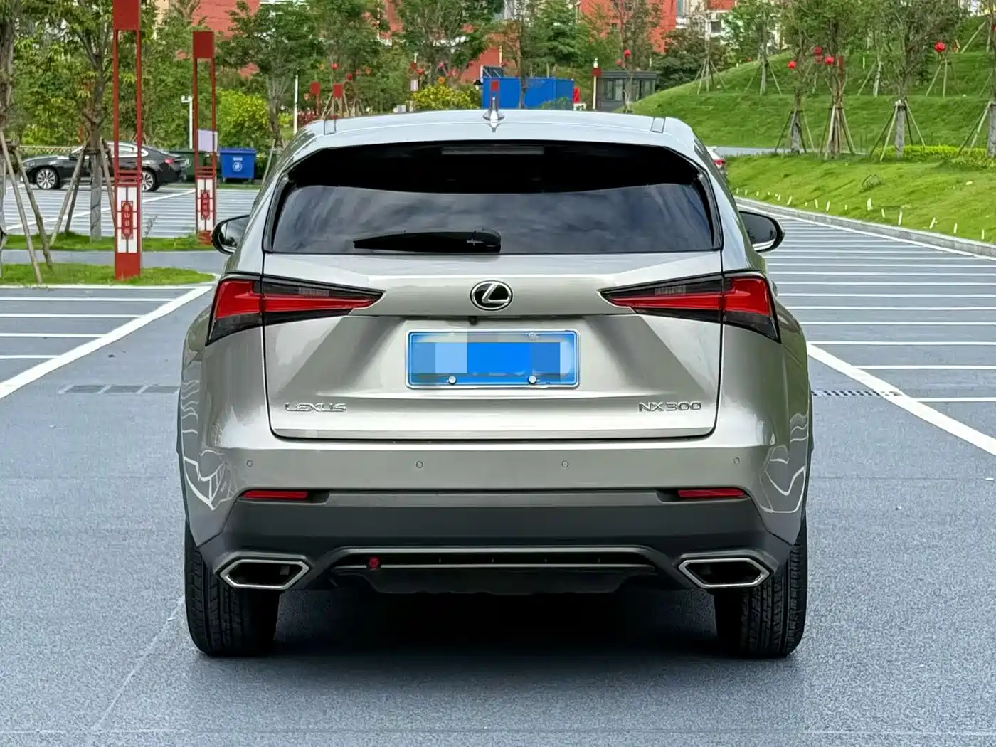 Lexus NX 2018 Model 300 FWD Fengxing Edition фото 8