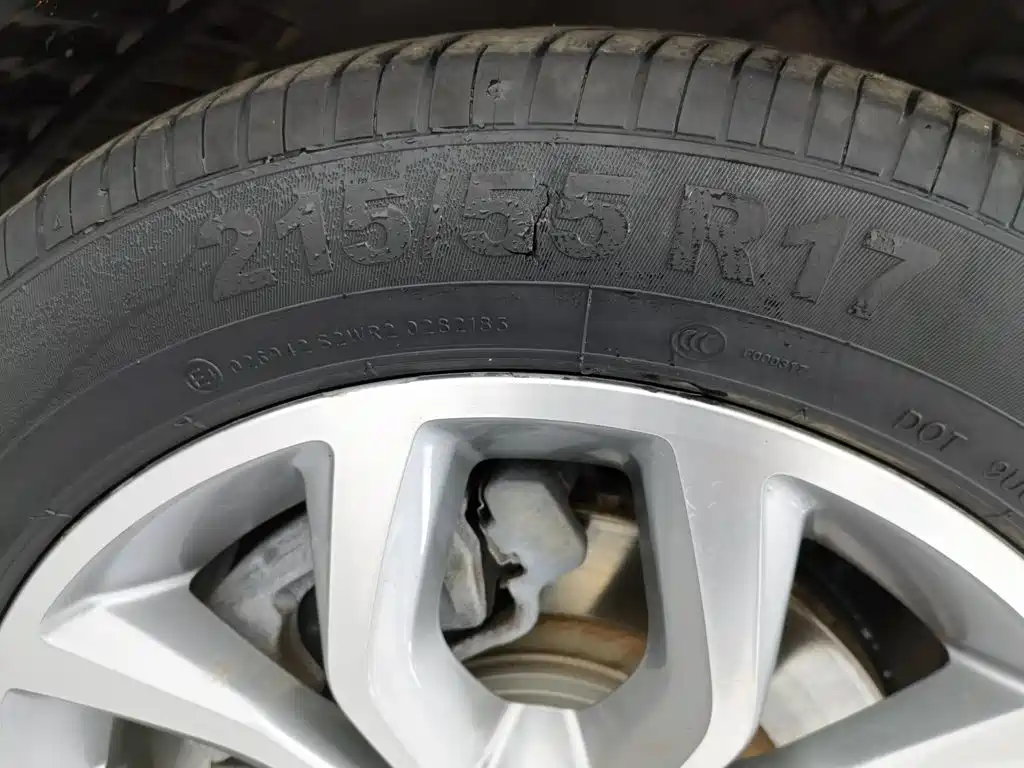Фото 24 - Geely Borui