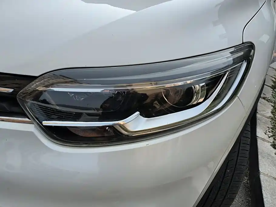 Renault Kadjar 2017 2016 2.0L 2WD Leading