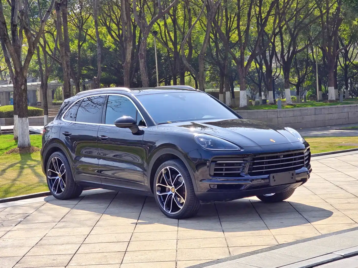 Porsche Cayenne 2019 Cayenne 3.0T фото 8