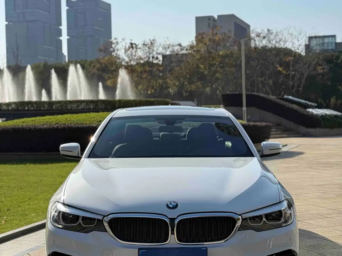 BMW 5 Series 2019 530Li Leading M Sport Package фото 2