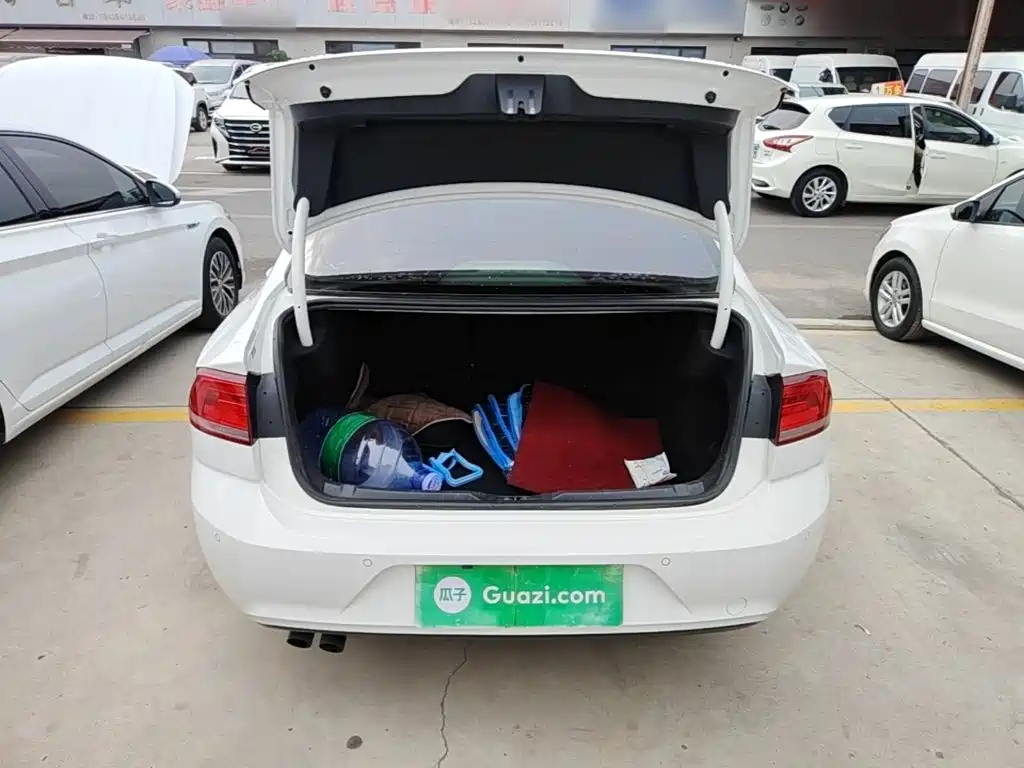 صورة 19 - Volkswagen Lamando