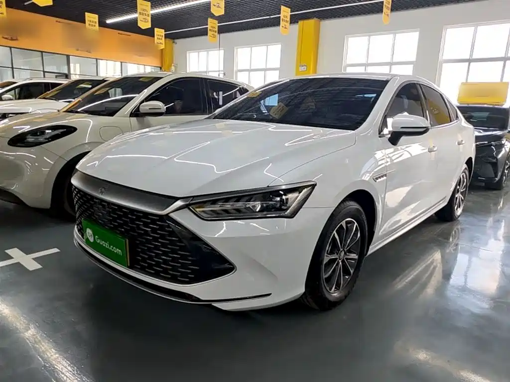 BYD Qin PLUS 2024 Glory Edition DM-i 55KM Leading