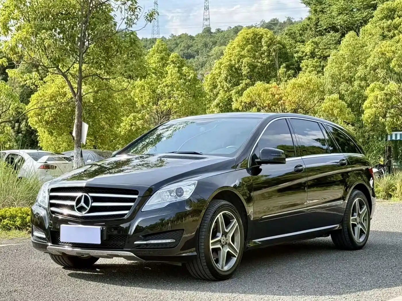 Mercedes-Benz R-Class 2014 R 320 4MATIC Luxury