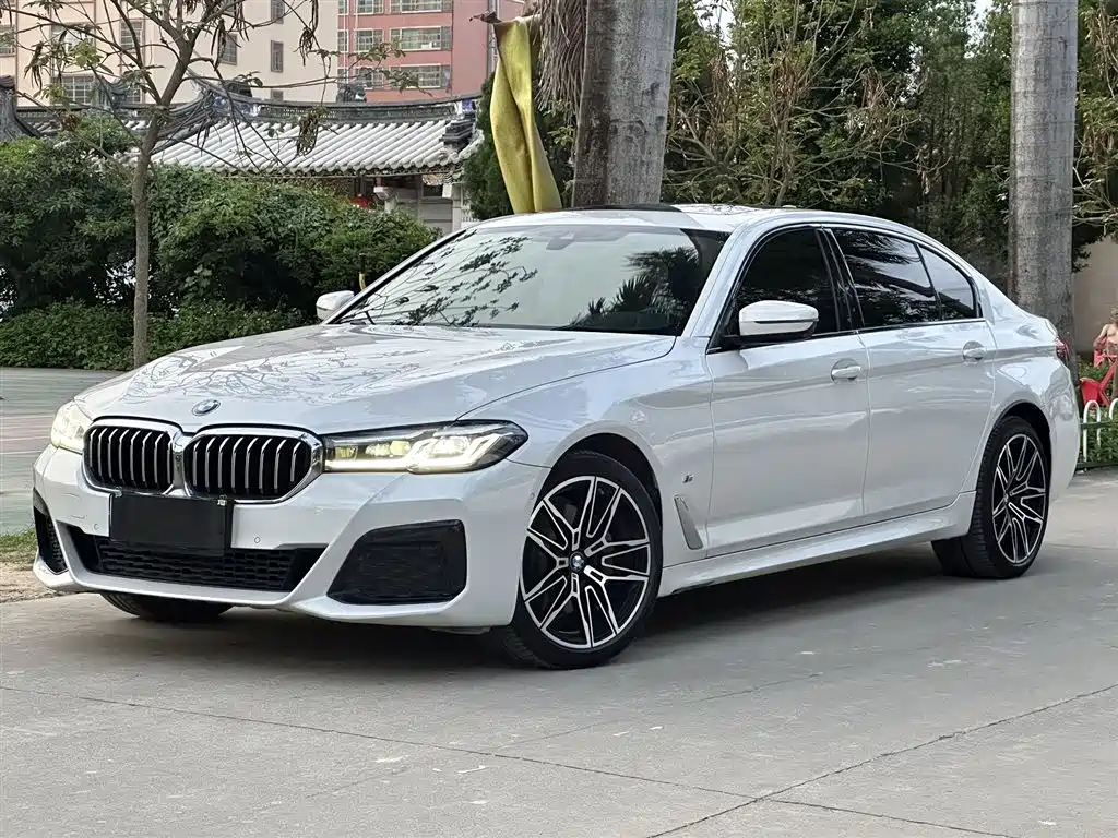 BMW 5 Series 2021 530Li Premium M Sport Package