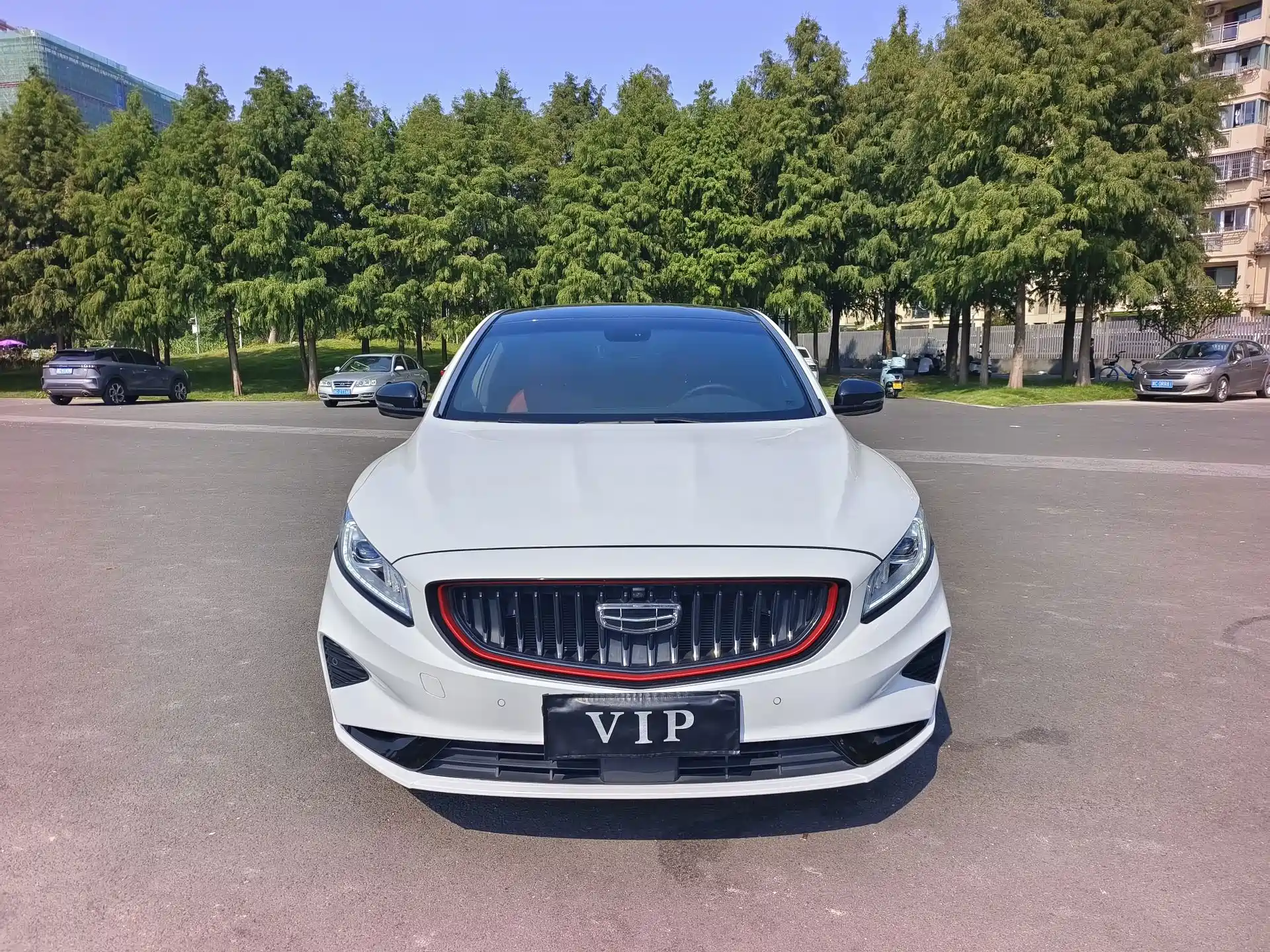 Фото 2 - Geely Borui