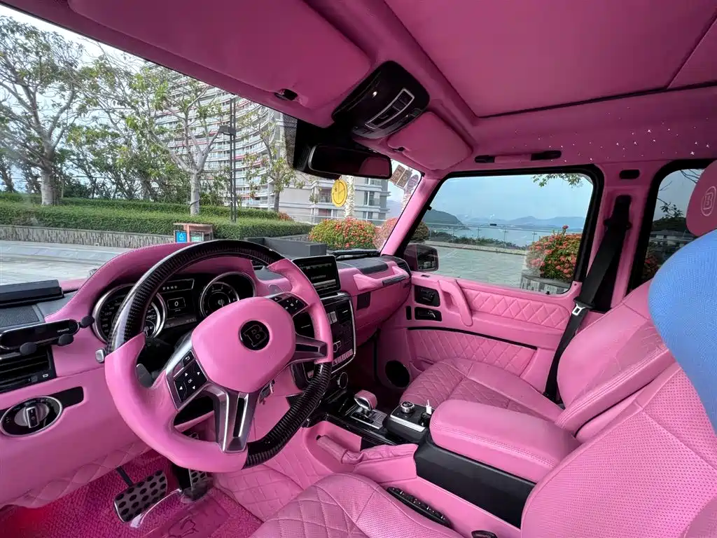 Mercedes-Benz G-Class 2015 G 500 Heavy Duty Edition фото 10