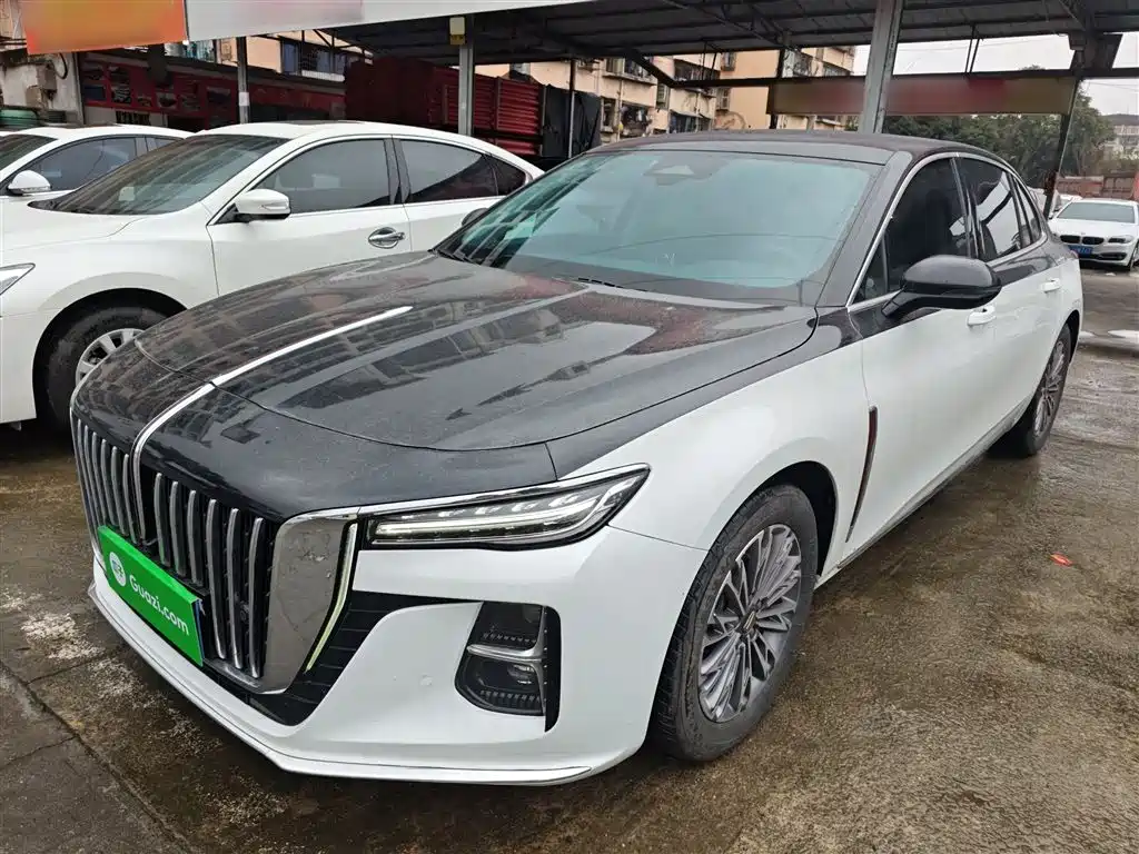 Hongqi H5 2023 2.0T Auto Smart Connect Flag Enjoy фото 2