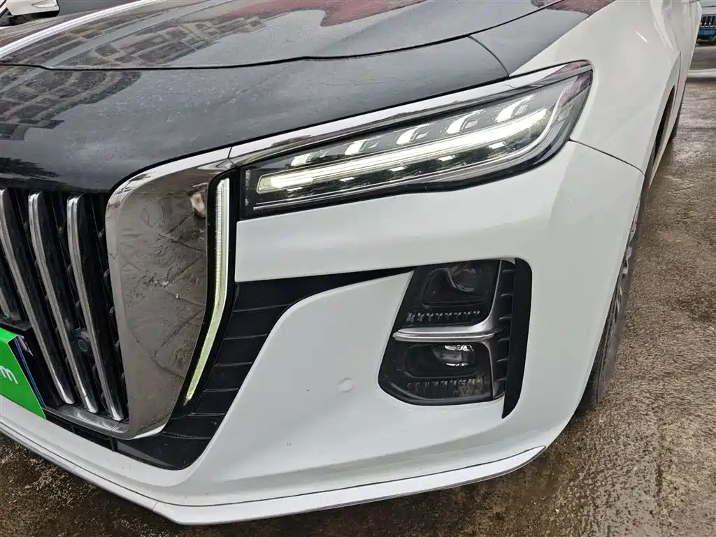Hongqi H5 2023 2.0T Auto Smart Connect Flag Enjoy фото 18