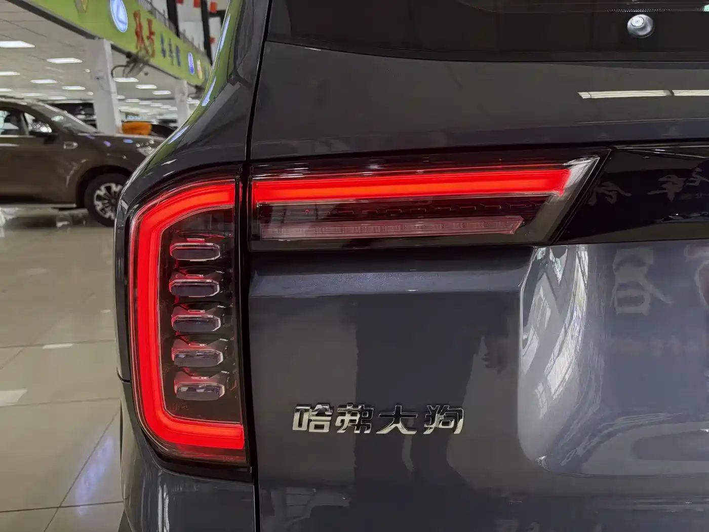 Haval Big Dog 2021 1.5T DCT 2WD Border Collie Edition фото 13