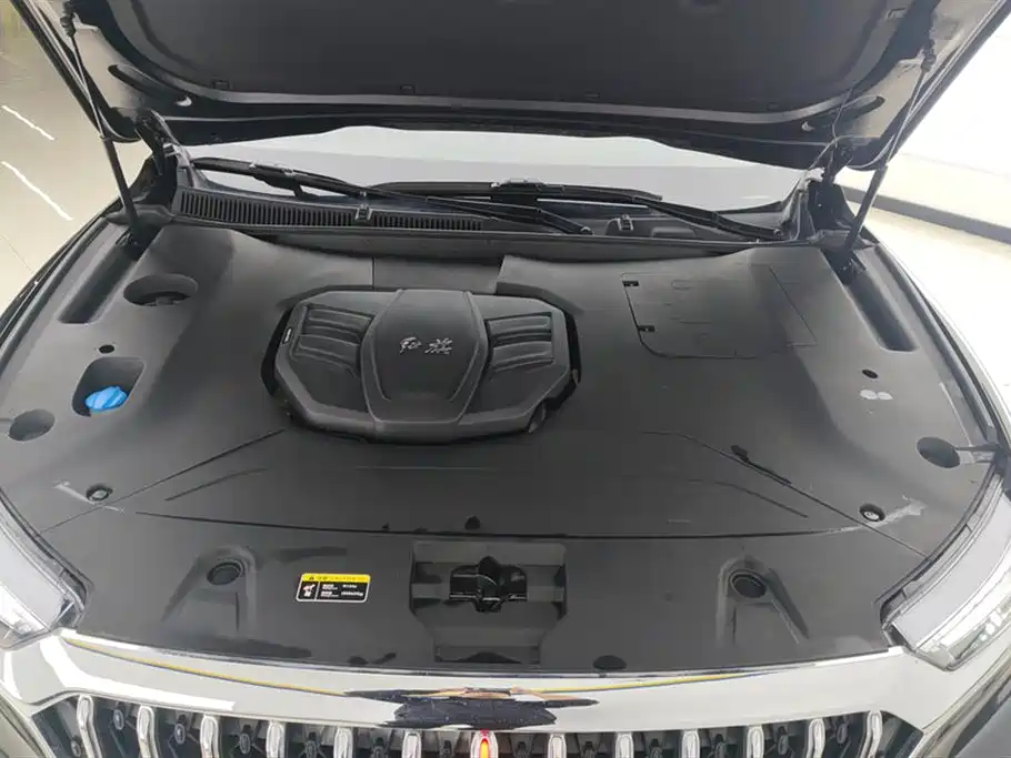 Hongqi HS5 2022 Facelift 2.0T Smart Flag Enjoyment Edition фото 10