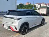 Фото 4 - BYD Dolphin