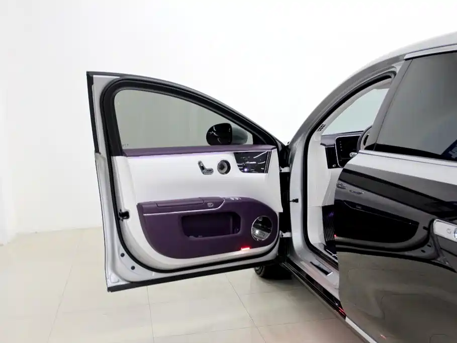 Zunjie S800 2026 2025 Model Extended Range Starlight Executive Edition 4-seater