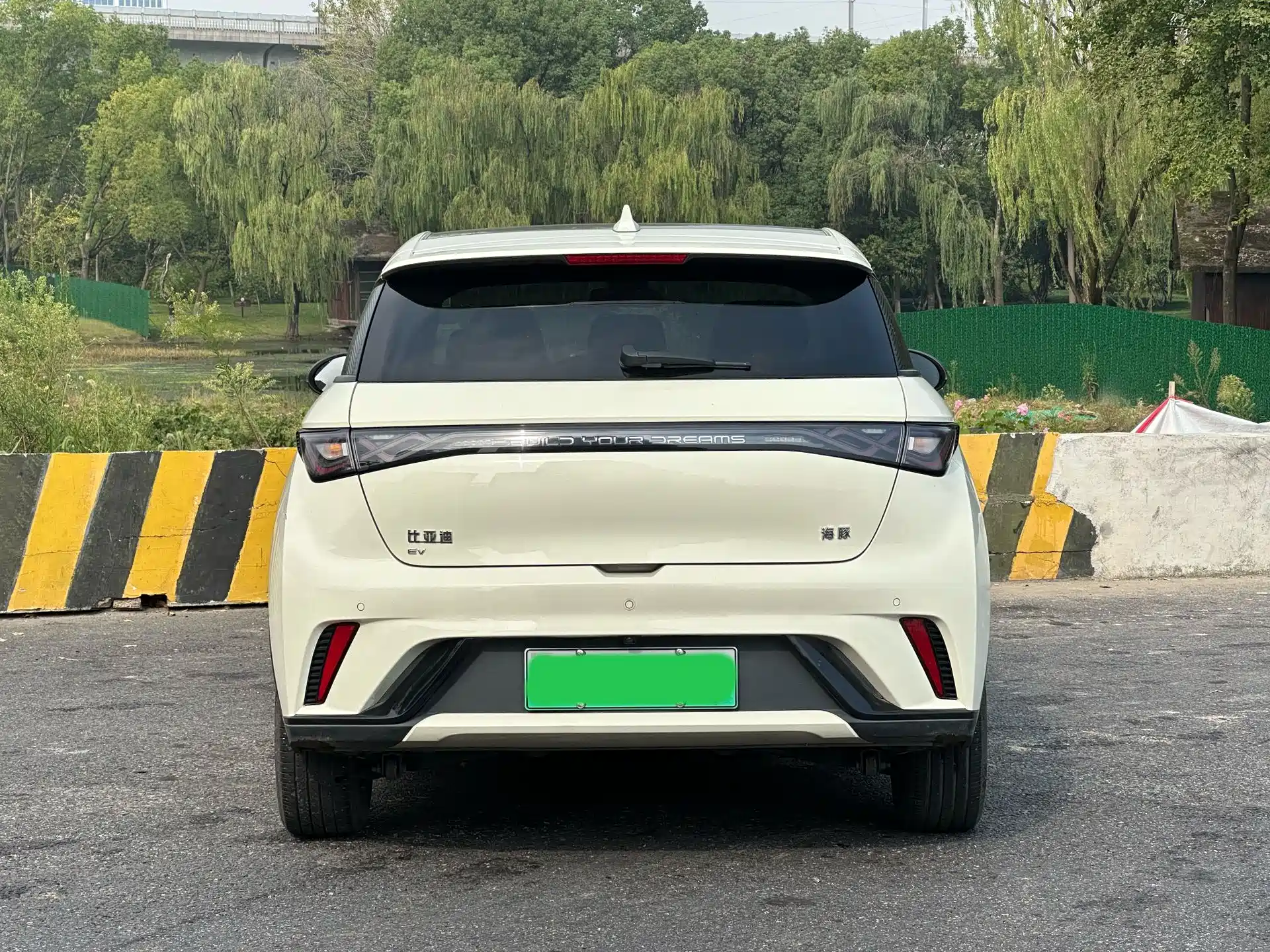 Фото 6 - BYD Dolphin