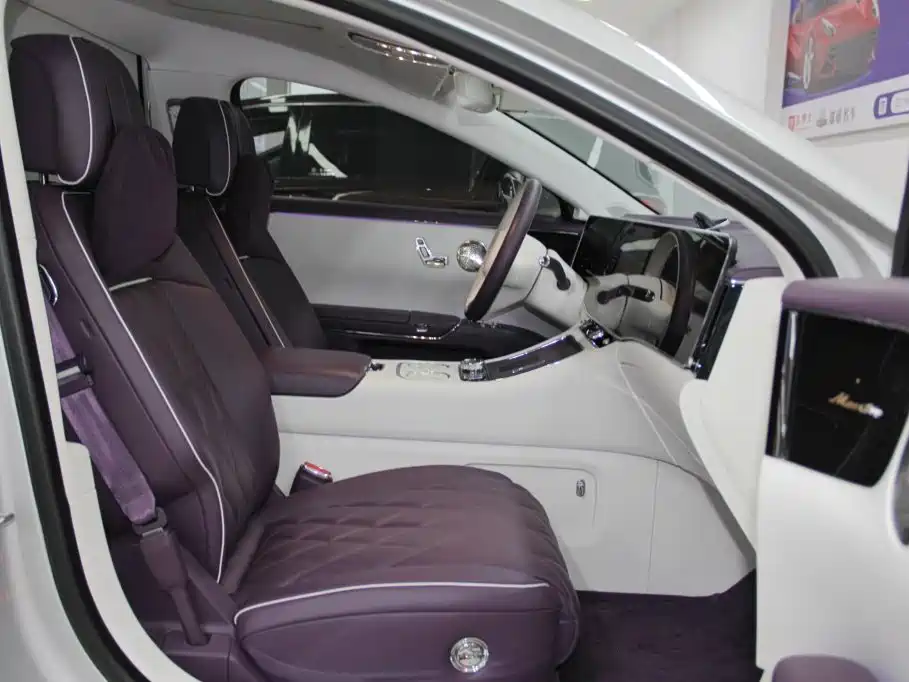Zunjie S800 2026 2025 Model Extended Range Starlight Executive Edition 4-seater