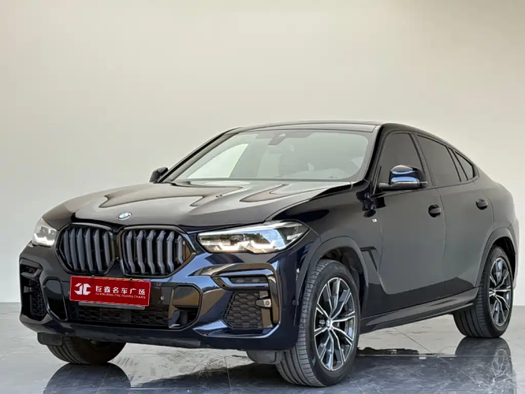 BMW X6 2023 2023 xDrive30i M Sport Package
