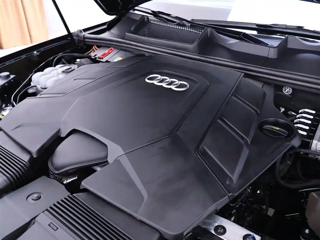 Audi Q7 2022 55 TFSI quattro S line Ice & Snow Edition фото 25